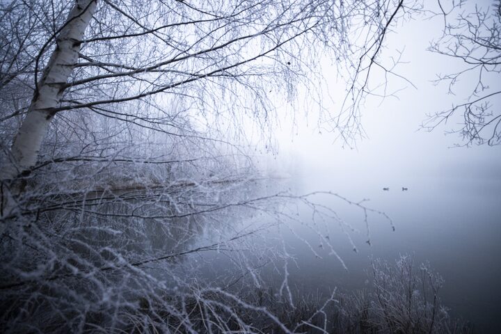 Frosty Blast and Heavy Rain: South Island Braces for Twin Weather Threats — image 4