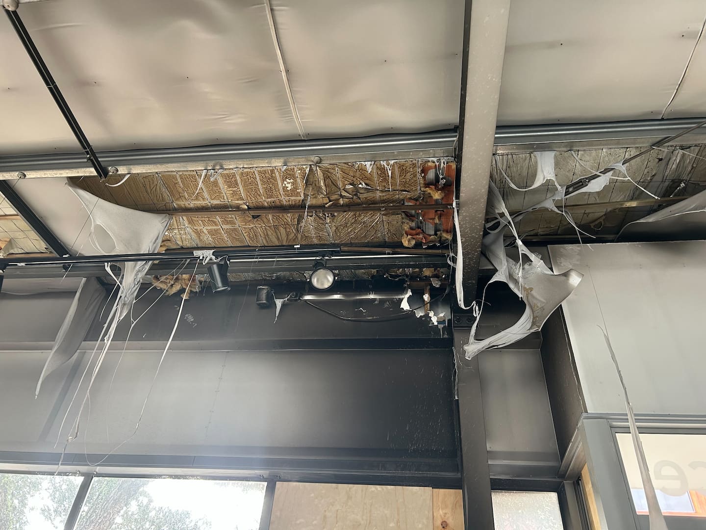 Interior damage to the Dimples Newmarket store. Photo / Jaime Lyth