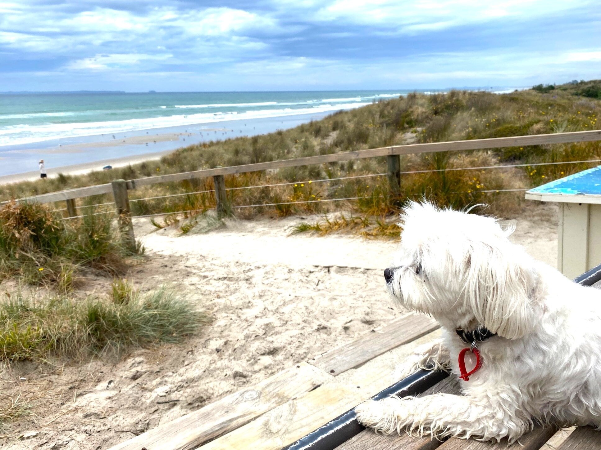 Photograph of Moni enjoying a holiday with nana at Pāpāmoa Beach won second place. Photo / Barbara Lowther