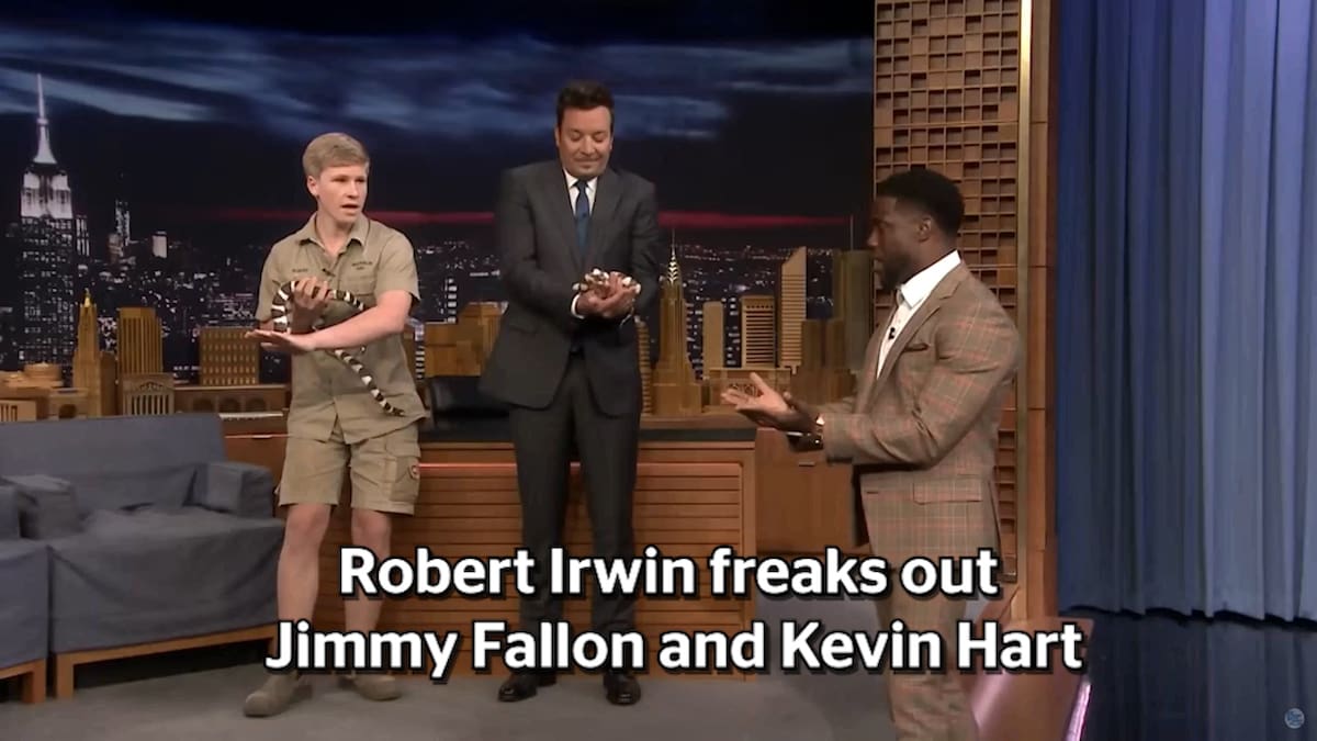 Kevin Hart Is Terrified Of Robert Irwin S Animals Nz Herald Kevin Hart Is Terrified Of Robert Irwin S Animals Nz Herald