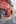 Photo / University of Canterbury