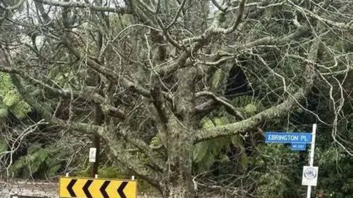 Bus passengers rescued from floodwater in Taranaki, heavy rain sweeps country Bus passengers rescued from floodwater in Taranaki, heavy rain sweeps country