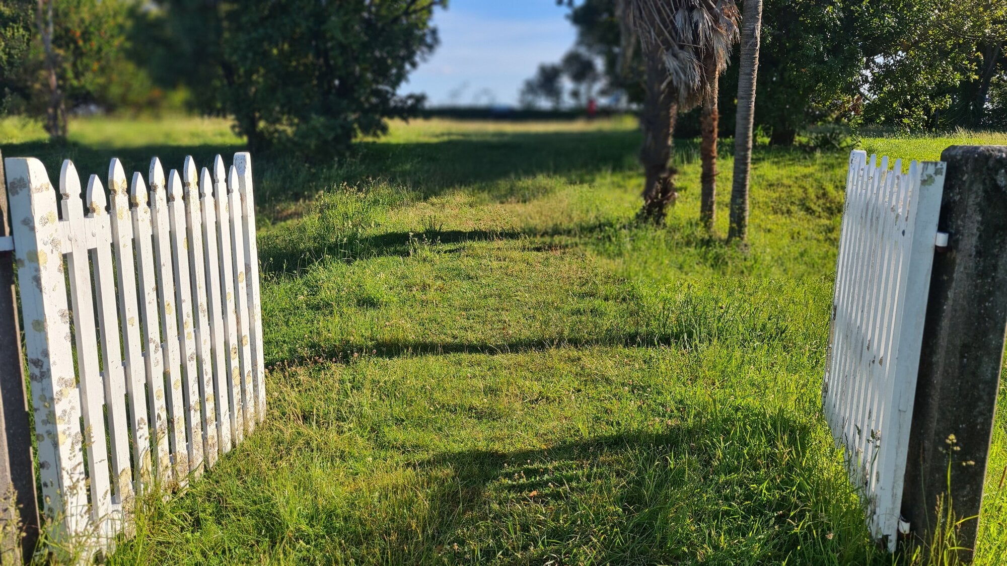  LEARNZ offers a variety of online field trips that allow students to connect with people and places around New Zealand and beyond. Photo / LEARNZ