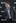 Spanish actor Javier Bardem poses during a photo call for the movie Beautiful in Madrid. Photo / AP