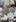 Photo / NZPA