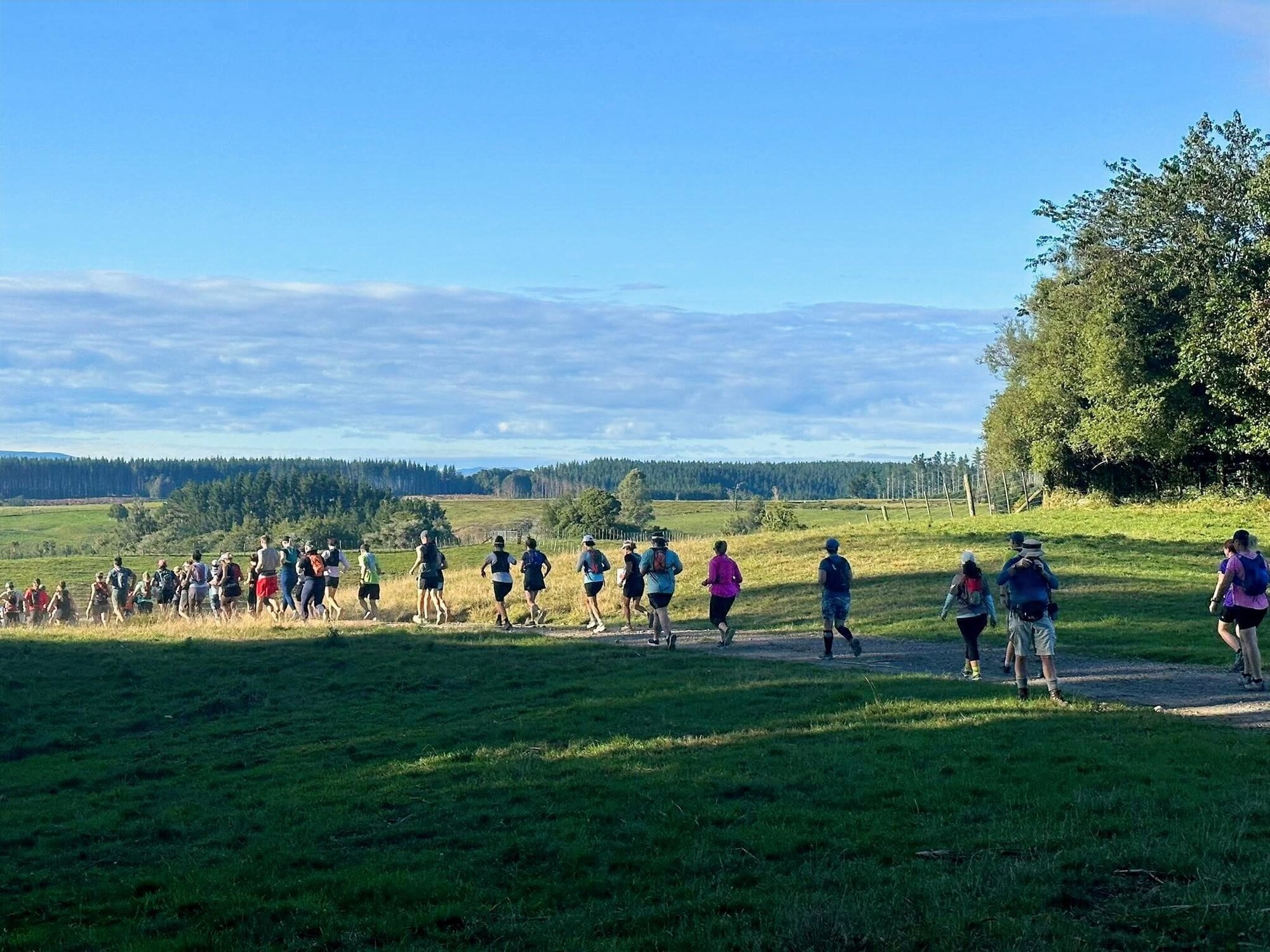 The Flight of the Kōkako Trail Run takes participants through rolling farmland, pockets of native bush and undulating hills. Photo / Supplied