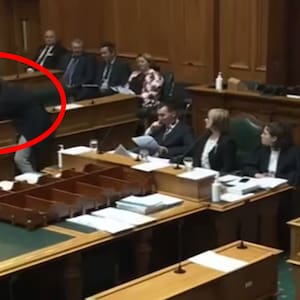 Julie Anne Genter confrontation: Winston Peters says Green MP’s actions in Parliament deserve ‘consequences’