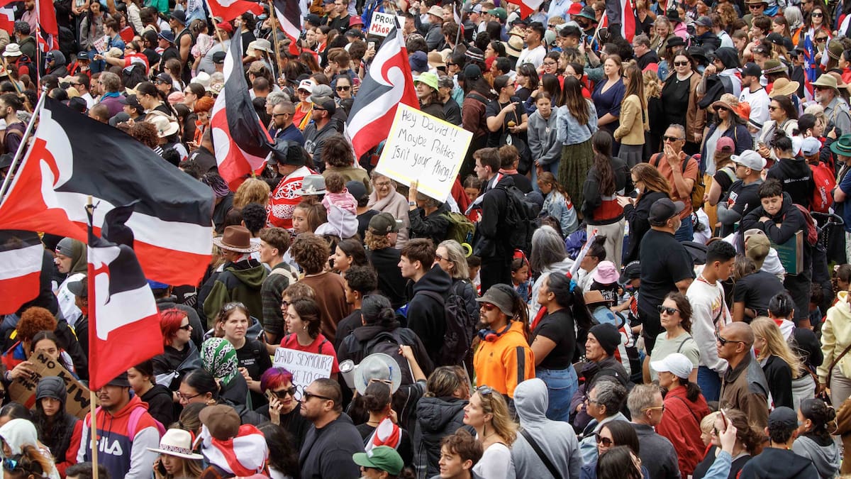 3000 join Māori electoral roll after Treaty Principles Bill hīkoi 3000 join Māori electoral roll after Treaty Principles Bill hīkoi