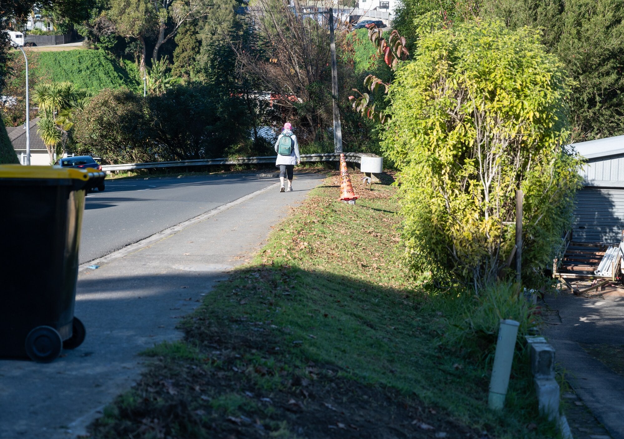 Courtney Rd residents are worried a pedestrian will be hit in one of the crashes that often occur on the road. Photo / Brydie Thompson