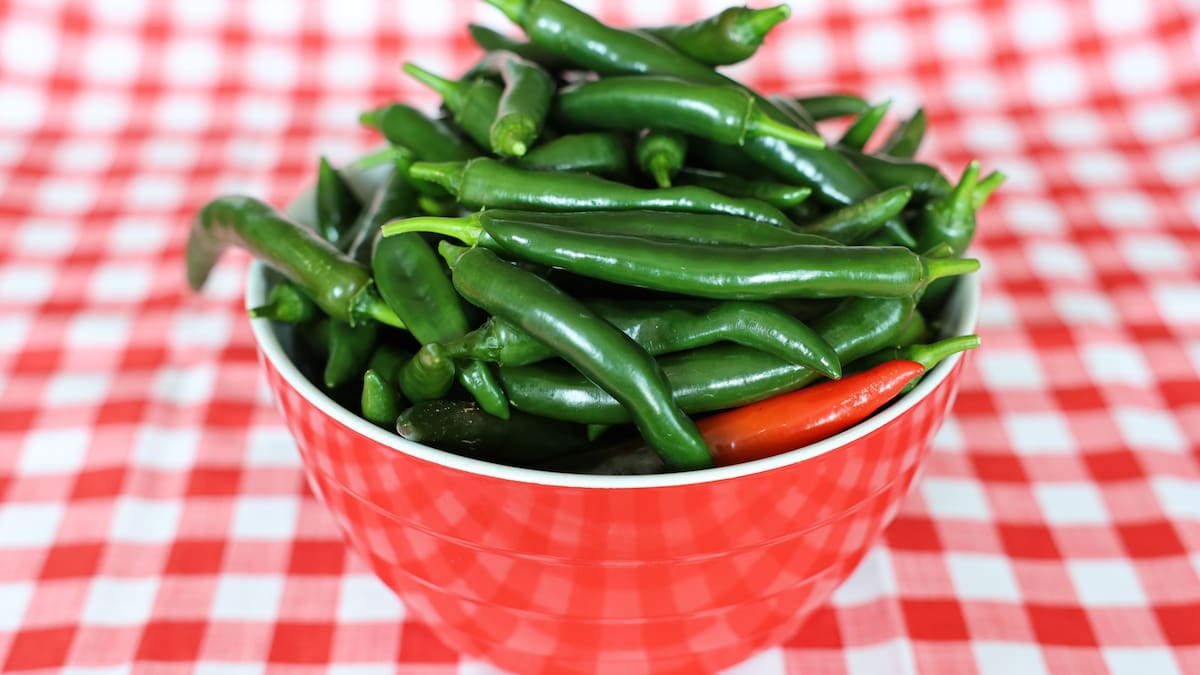 How to make sweet chilli sauce – from your own chillies, no less How to make sweet chilli sauce – from your own chillies, no less
