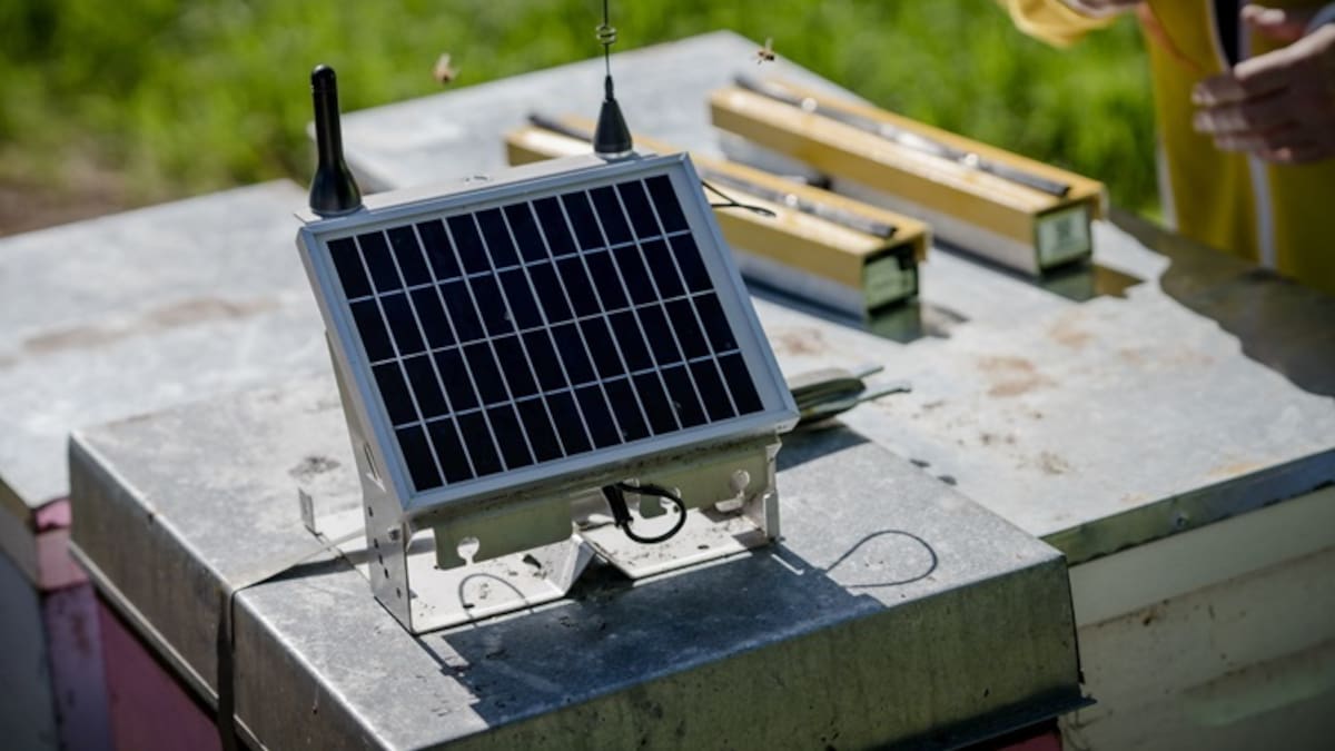 One NZ expands Starlink partnership to Internet of Things One NZ expands Starlink partnership to Internet of Things