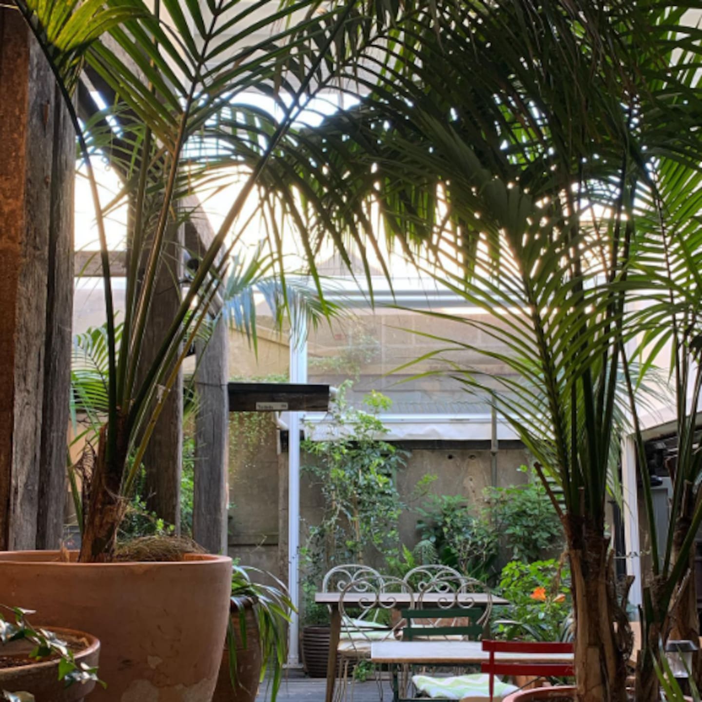 Olive is known for its "rustic-chic" courtyard dining area. Photo / instagram.com/oliveoncuba