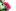 An abstract photo of a pohutukawa flower. Photo / Jane Gianoutsos