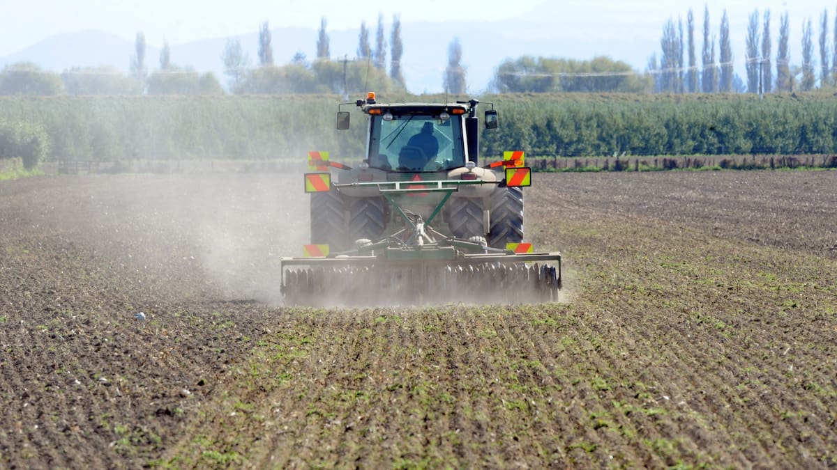 How a shifting global chessboard could reshape farmgate fortunes this year How a shifting global chessboard could reshape farmgate fortunes this year