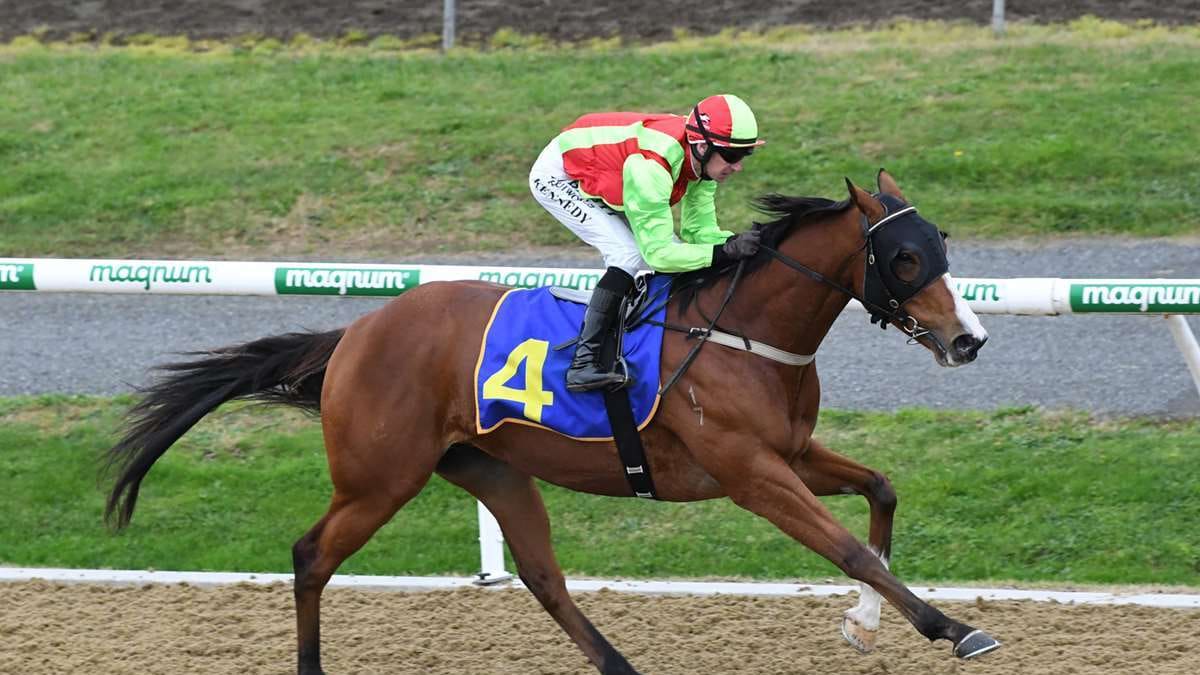 Trainer John Bell optimistic as Cleese resumes at Arawa Park Trainer John Bell optimistic as Cleese resumes at Arawa Park