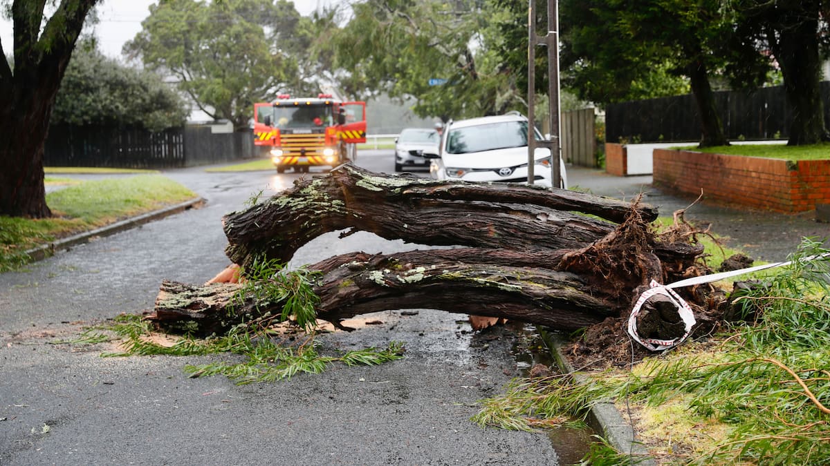 ‘Stay off roads’: Highways blocked and extensive power outages as atmospheric river hits North Island ‘Stay off roads’: Highways blocked and extensive power outages as atmospheric river hits North Island