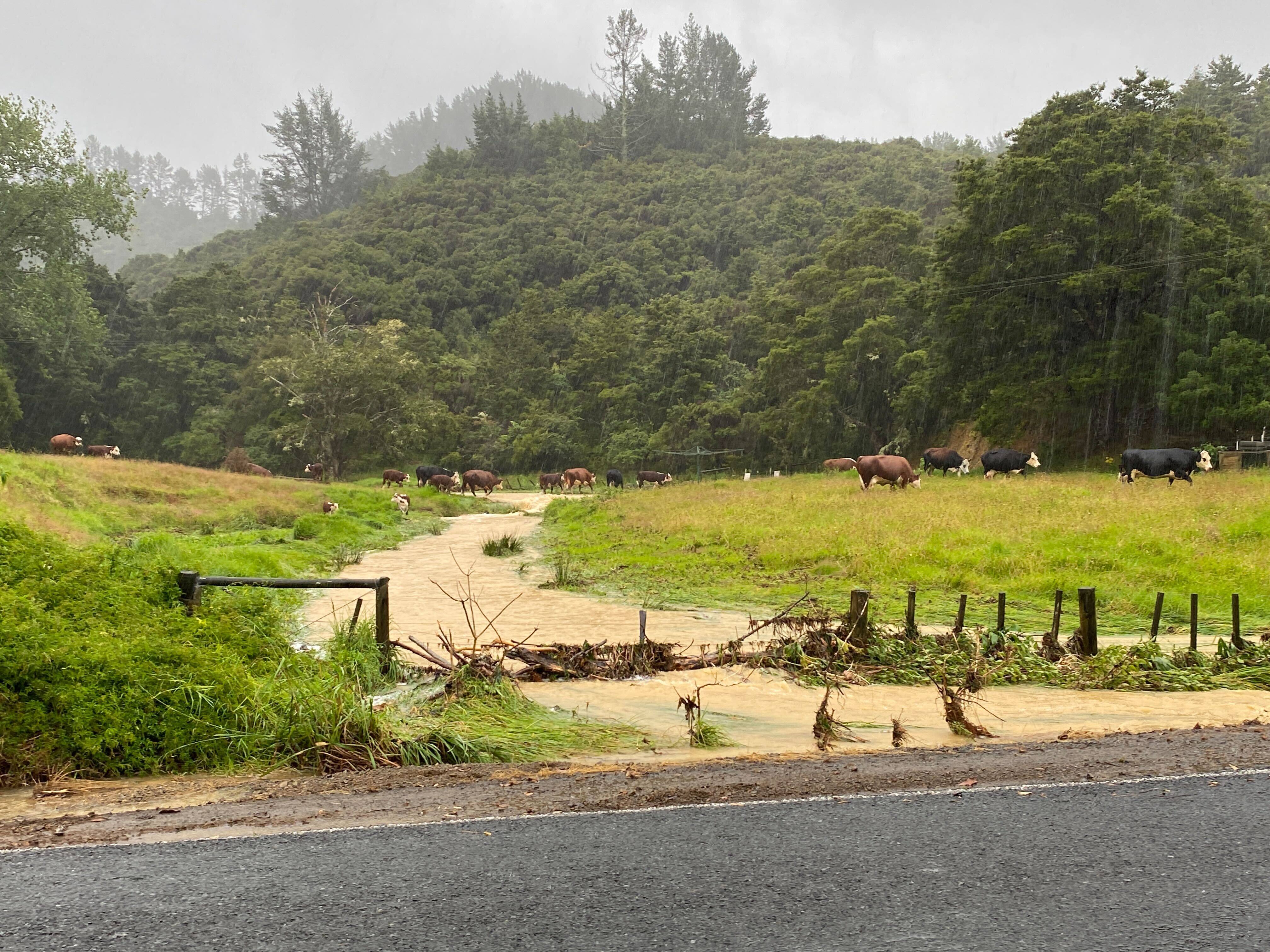 Northland Punaruku received more than a whole summer rain during weekend weather