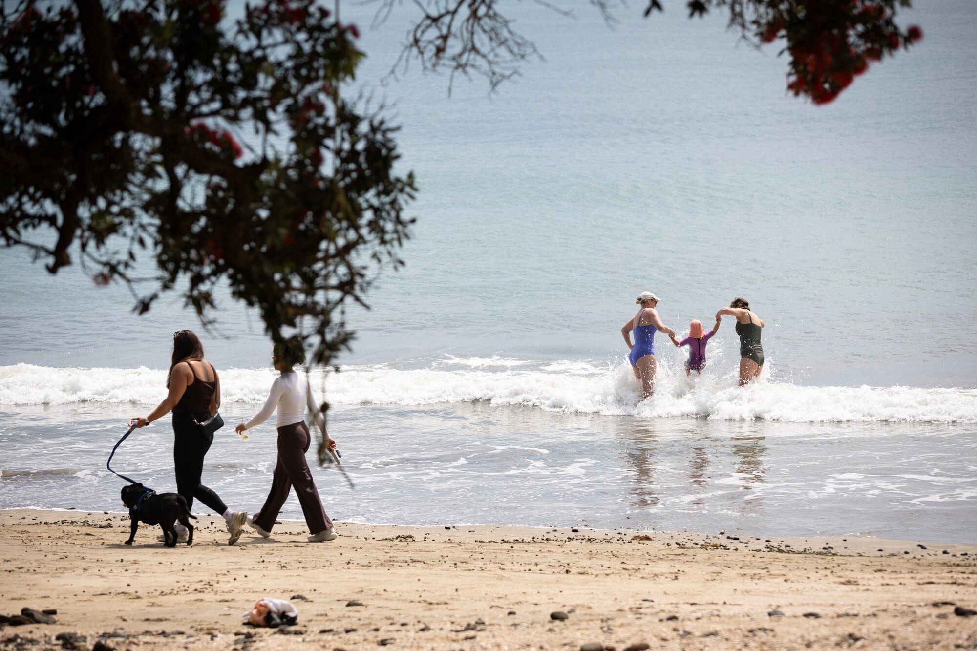Outside weather is on the cards for the Bay of Plenty and Rotorua this Christmas. Photo / Sylvie Whinray