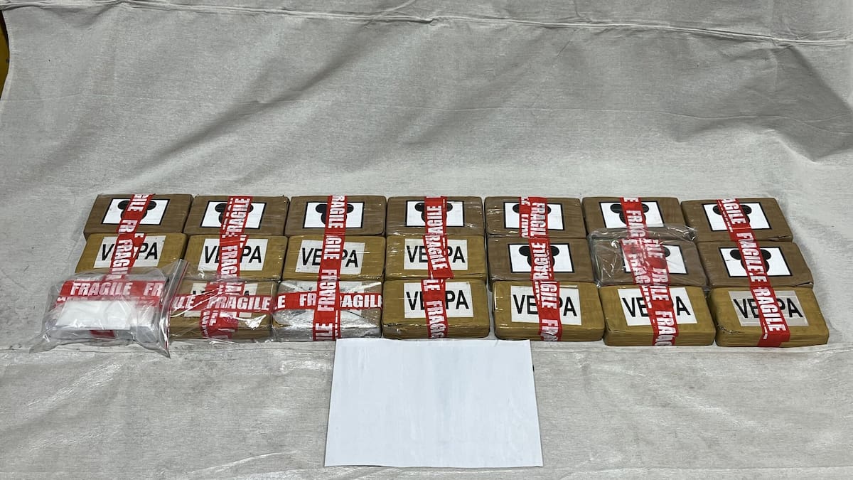 Customs seizes cocaine from Panama container at Port of Tauranga