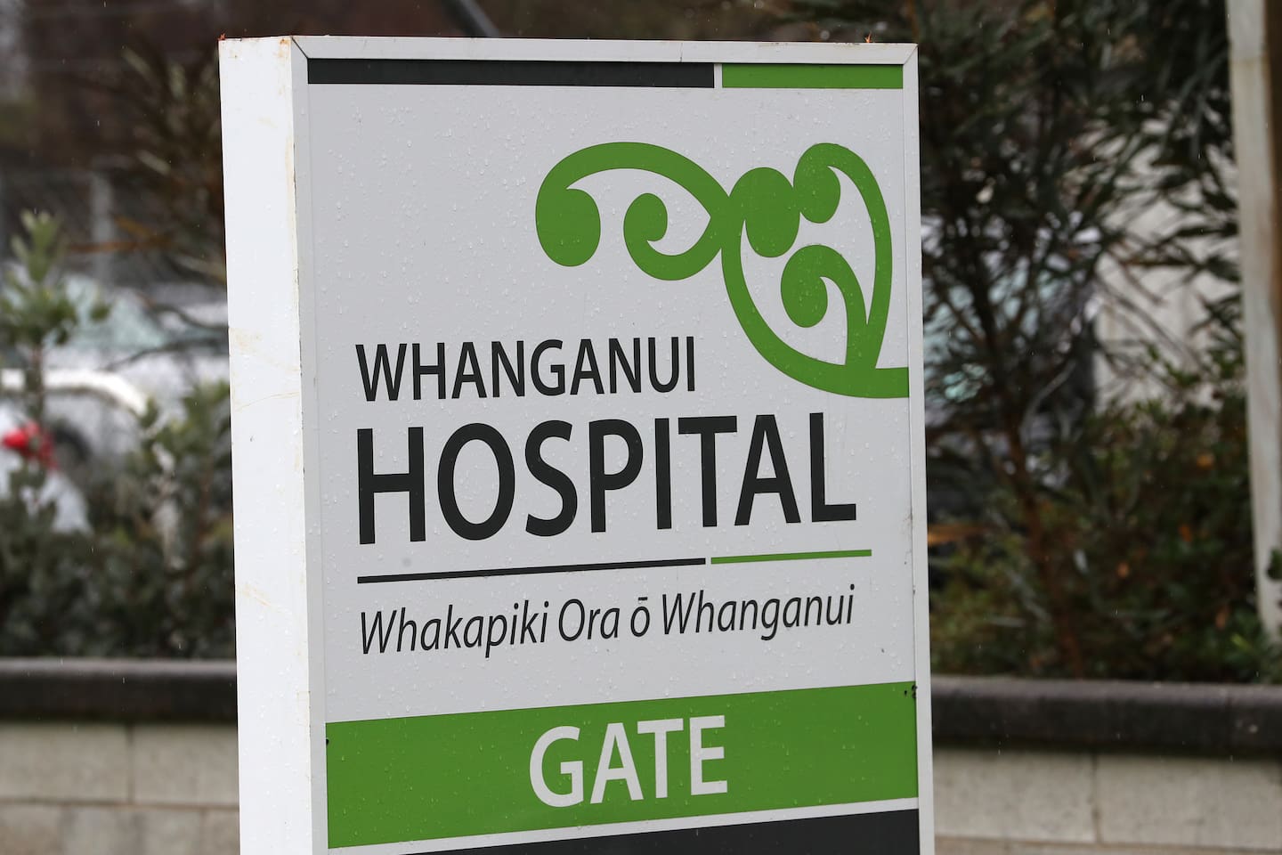 Dr Youssefi worked at Whanganui Hospital for three months in 2015 on a surgical and orthopaedic run. Photo / Bevan Conley