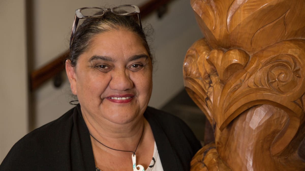Māori governance expert says new ministers are overstepping their briefs – NZ Herald Māori governance expert says new ministers are overstepping their briefs – NZ Herald