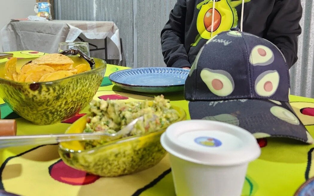 Visitors hosted by Avocado Tours are treated to home-made guacamole and avocado sorbet after their tour of the orchard. Photo / RNZ, Sally Round