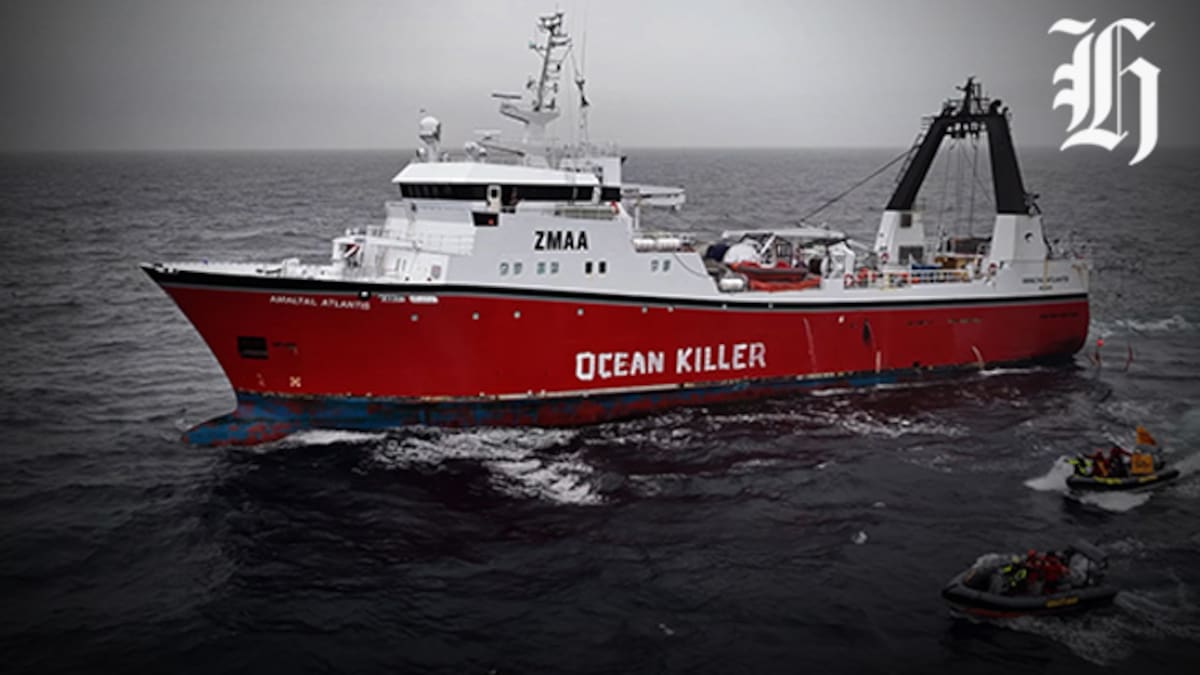 Greenpeace activists target NZ bottom trawling vessel on the Chatham Rise east of Christchurch
