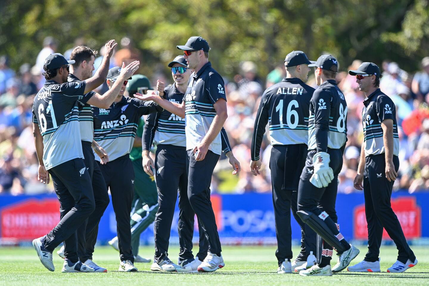 The Blacks Caps are scheduled to play Afghanistan next year in a series. Photo / Photosport