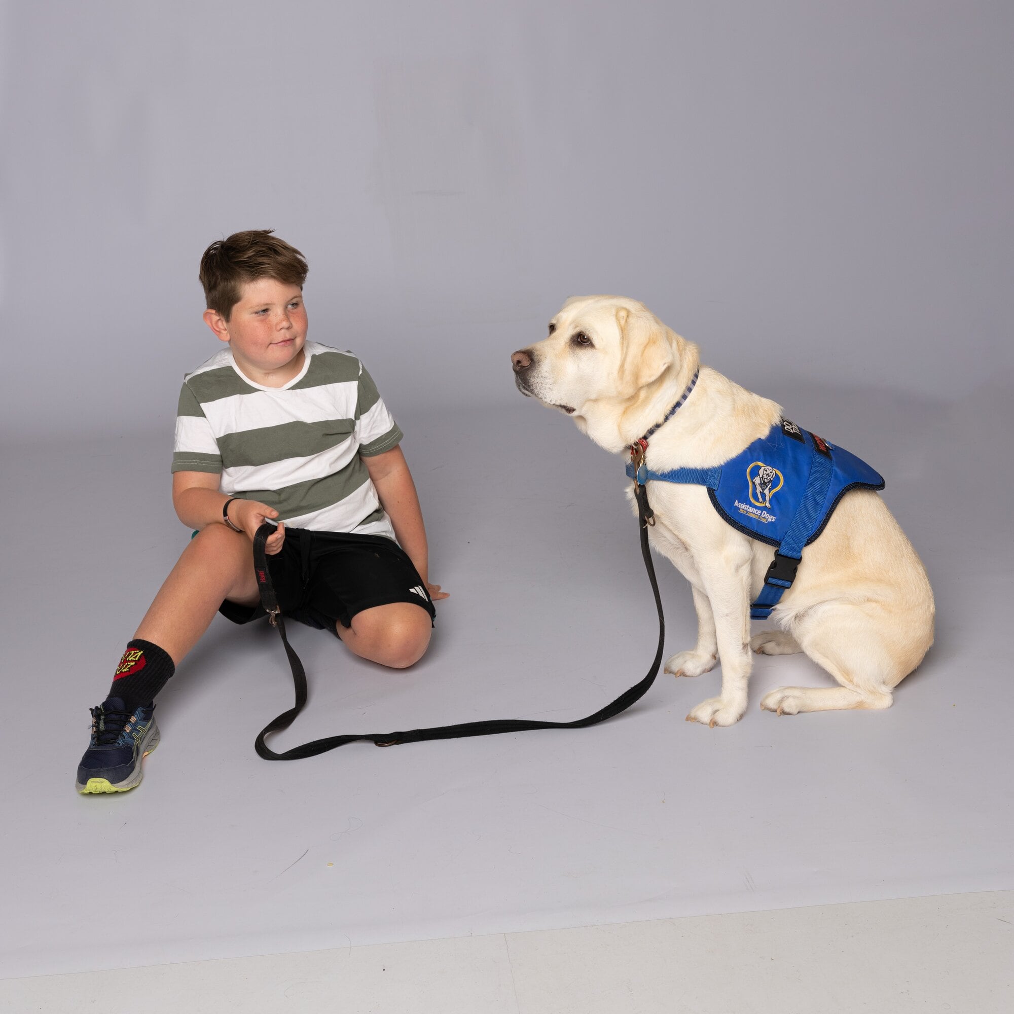  Seven-year-old Harry Ward with his assistance dog Kōwhai. Photo / Nicholas Charles