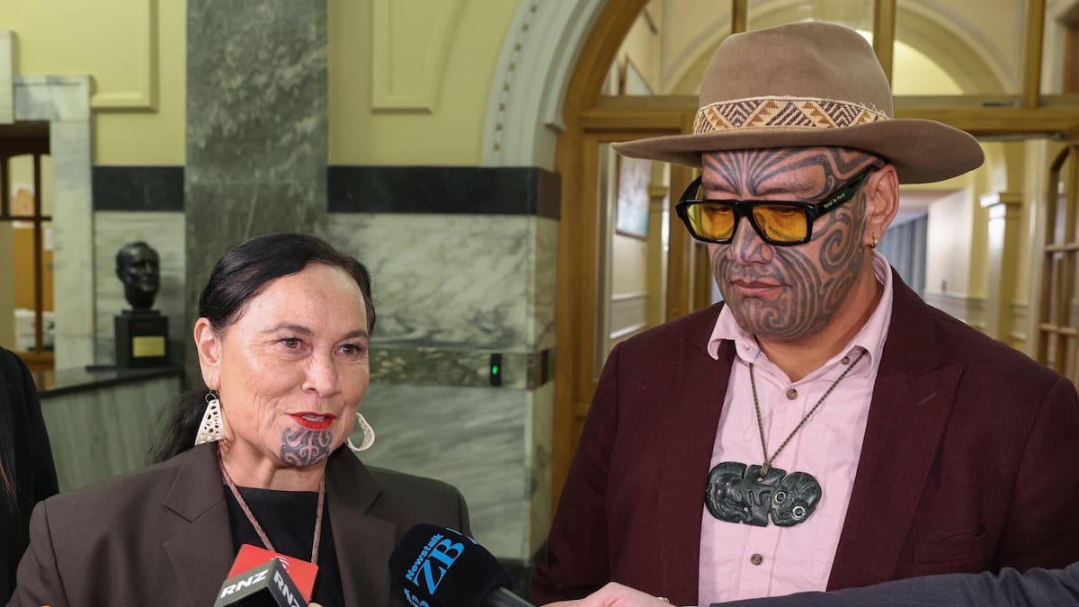 Watch: MPs debate possible sanctions on Te Pāti Māori for controversial ...
