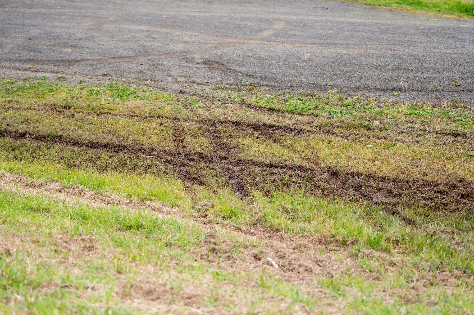 Motorbikes have dug up grass and gravel paths at the reserve on Tom Muir Drive in Gate Pā. Photo / Brydie Thompson