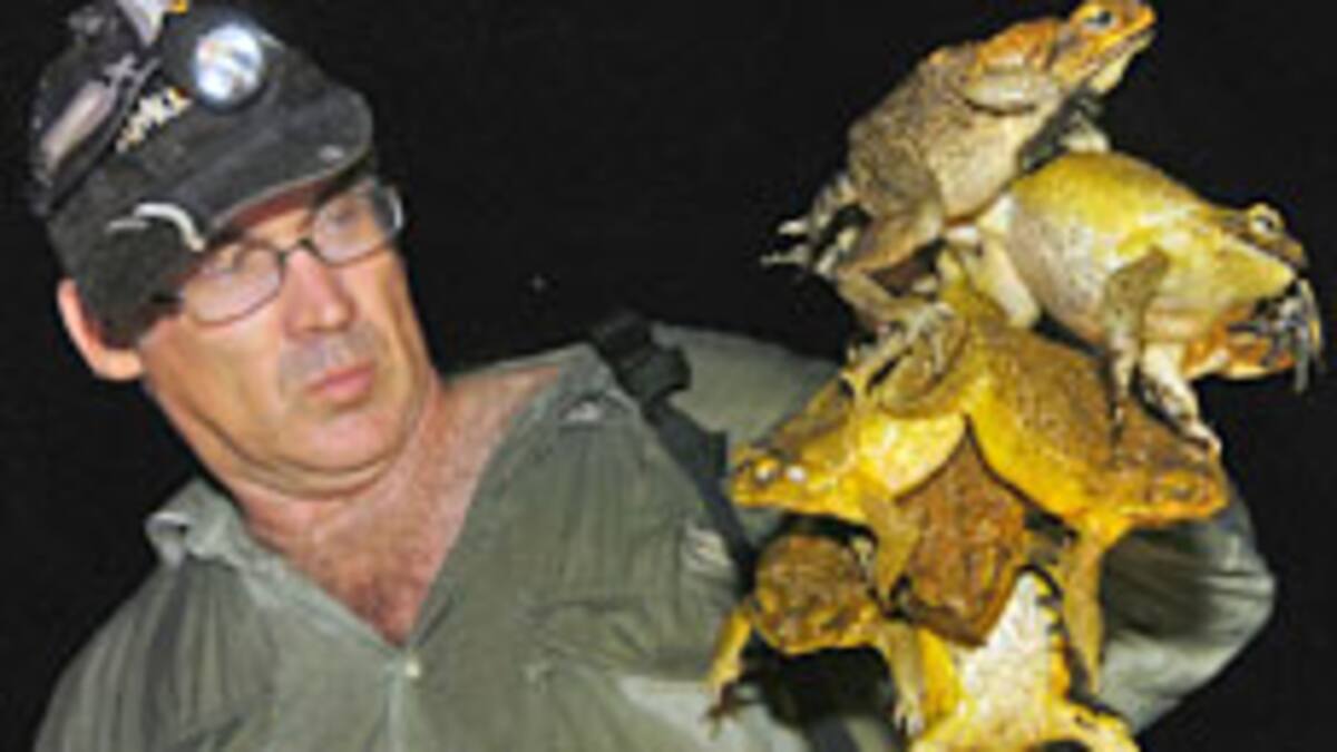 Fertile grave for an ugly invader - NZ Herald