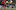 Football at Puarenga Park. Jamie Petersen, 10, St Michaels School.