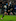 All Blacks halfback Aaron Smith scores his second try against England. Photo / New Zealand Herald / Brett Phibbs