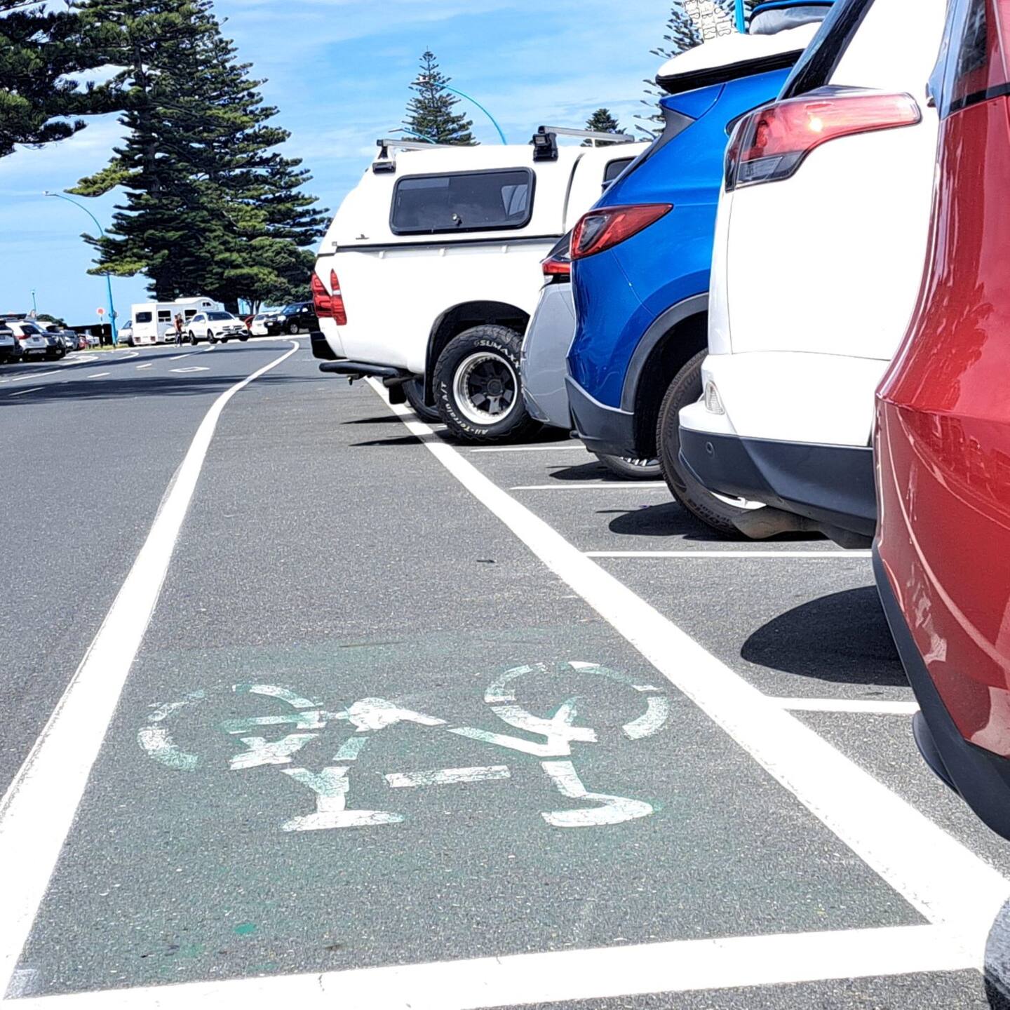 The cycle lane next to angled parking spaces on Marine Parade in Mount Maunganui. Photo / Sandra Conchie