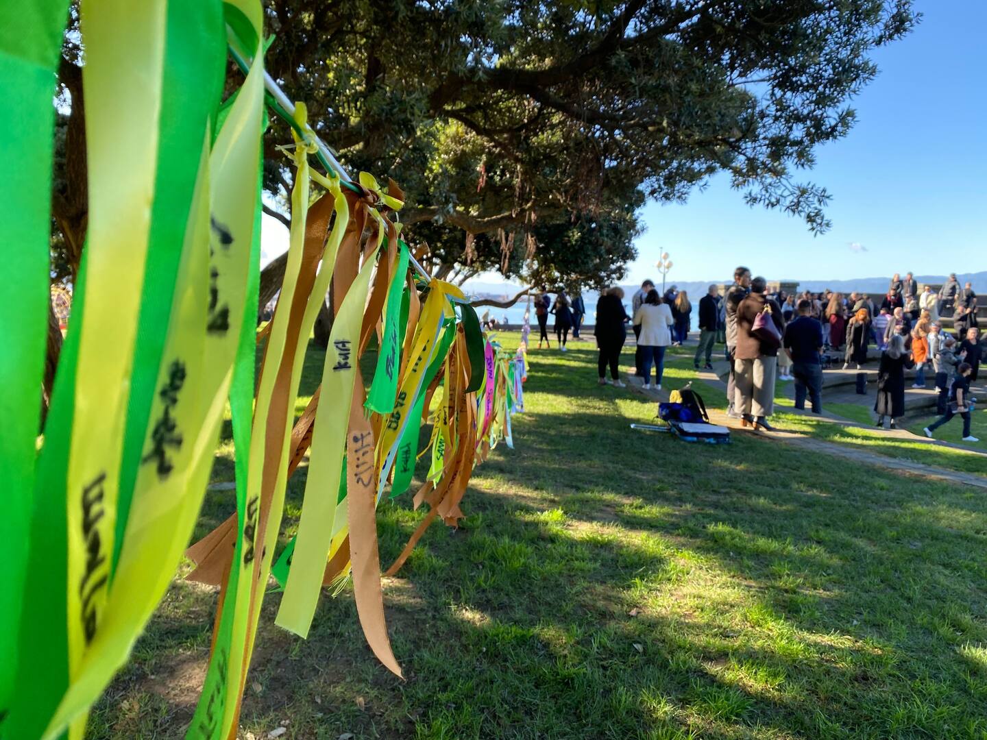 Survivors gather in Wellington's Frank Kitts Park. Photo / Azaria Howell