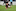 Ruby Tui scores a try during the test match between the New Zealand Black Ferns and Japan at Eden Park on September 24. Photo / Getty