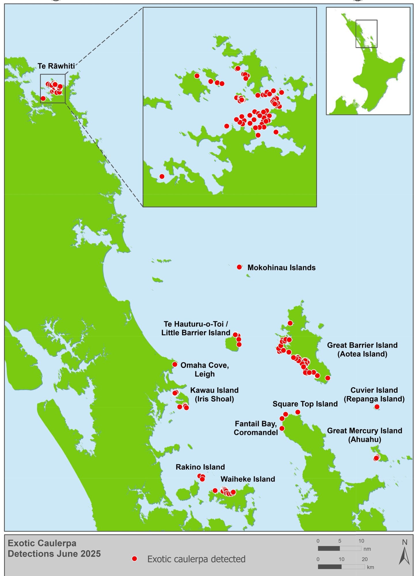 A map showing where exotic caulerpa has been found around the North Island as of June 2025. Image / Biosecurity New Zealand