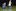 (l-r) Sebastian Rogers, 2, and Tyson Holden, 6. Winter Nights, Winter Lights festival on the Waterfront. Photo/Andrew Warner