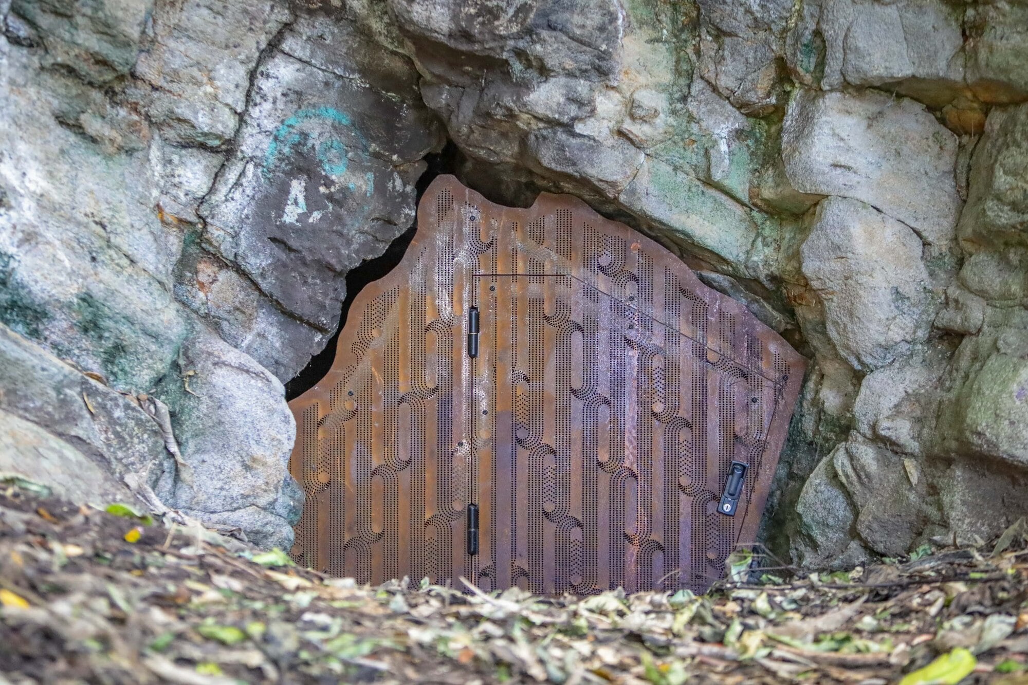 The Hopukiore caves were once used for burials and are regarded as a sacred place. Photo / Kelly O&rsquo;Hara