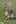 Bayern Munich midfielder Arjen Robben, front left, and teammates forward Ivica Olic, top left, and forward Thomas Mueller, top right, react to a missed opportunity during the Champions League  final. Photo / AP