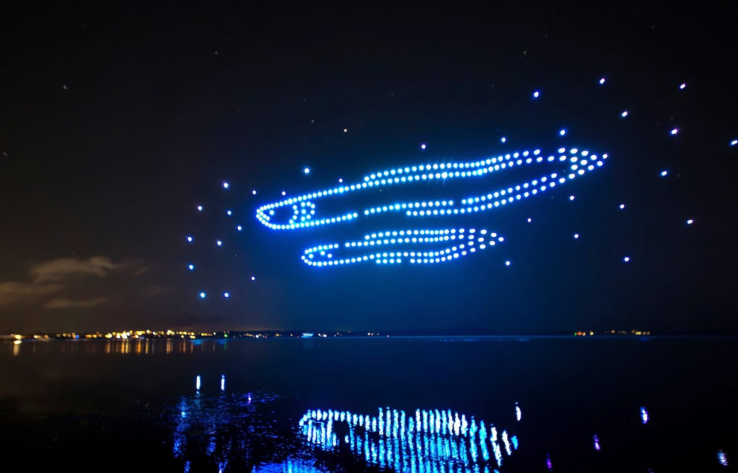 Swimming in the sky for the Aronui Matariki Drone Show. Photo / Āio Media