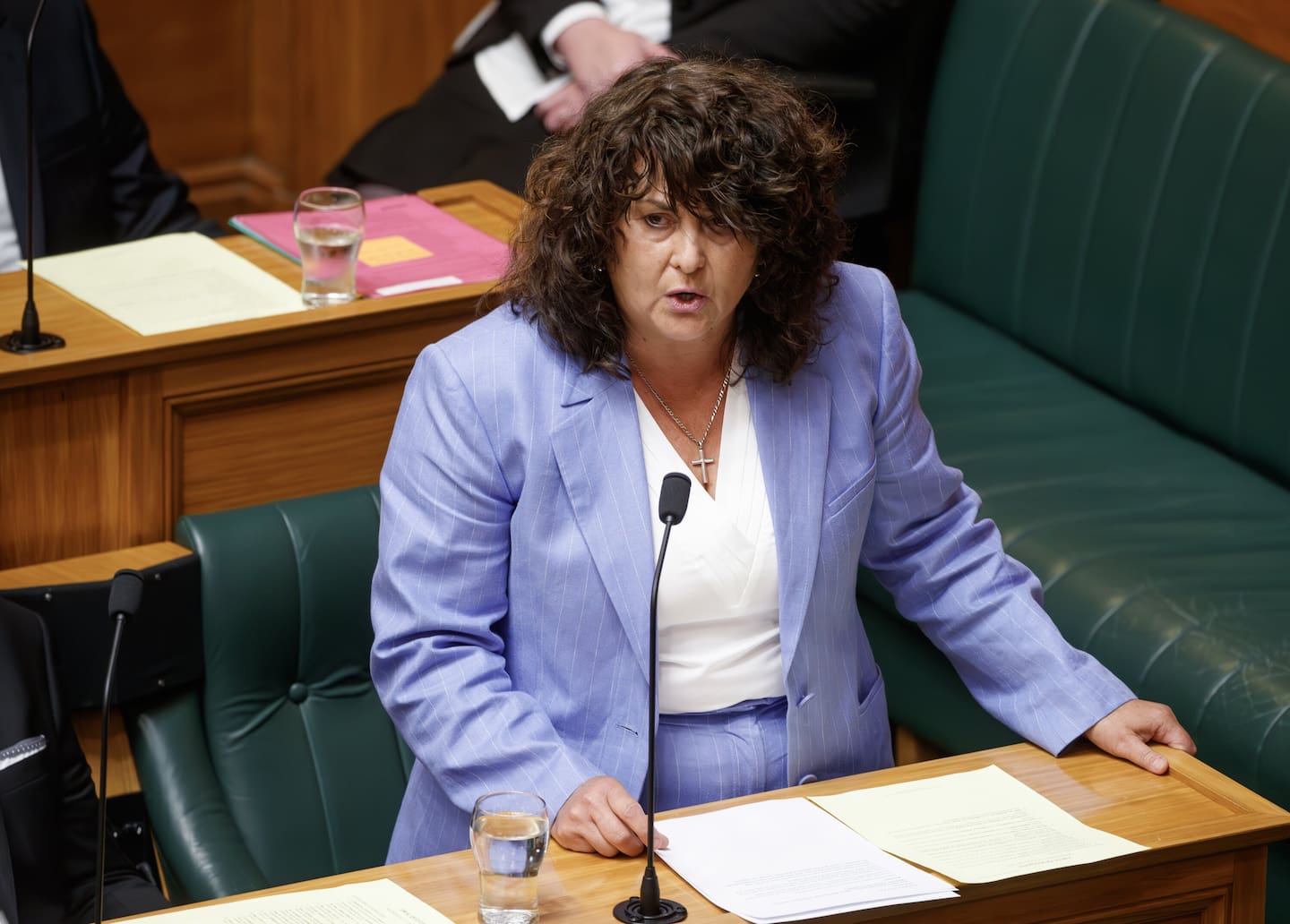 Associate Health Minister Casey Costello has been a target of some Opposition MPs in the House. Photo / Mark Mitchell
