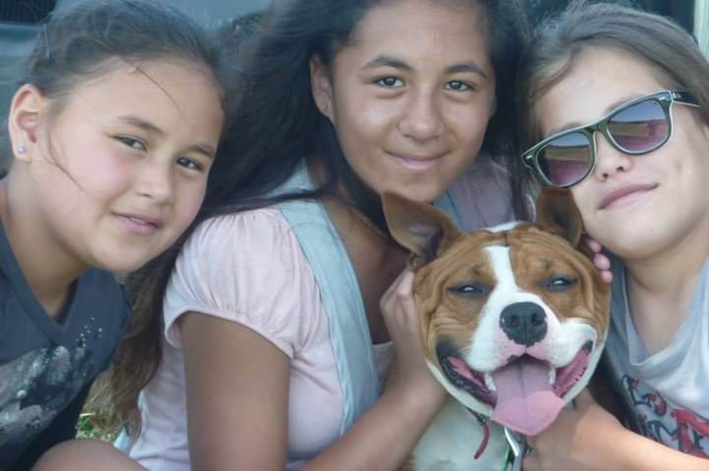 Beloved family dog Suki at home with whānau from right: Tiger, Portia and Paige Telford. Photo / Robert Telford