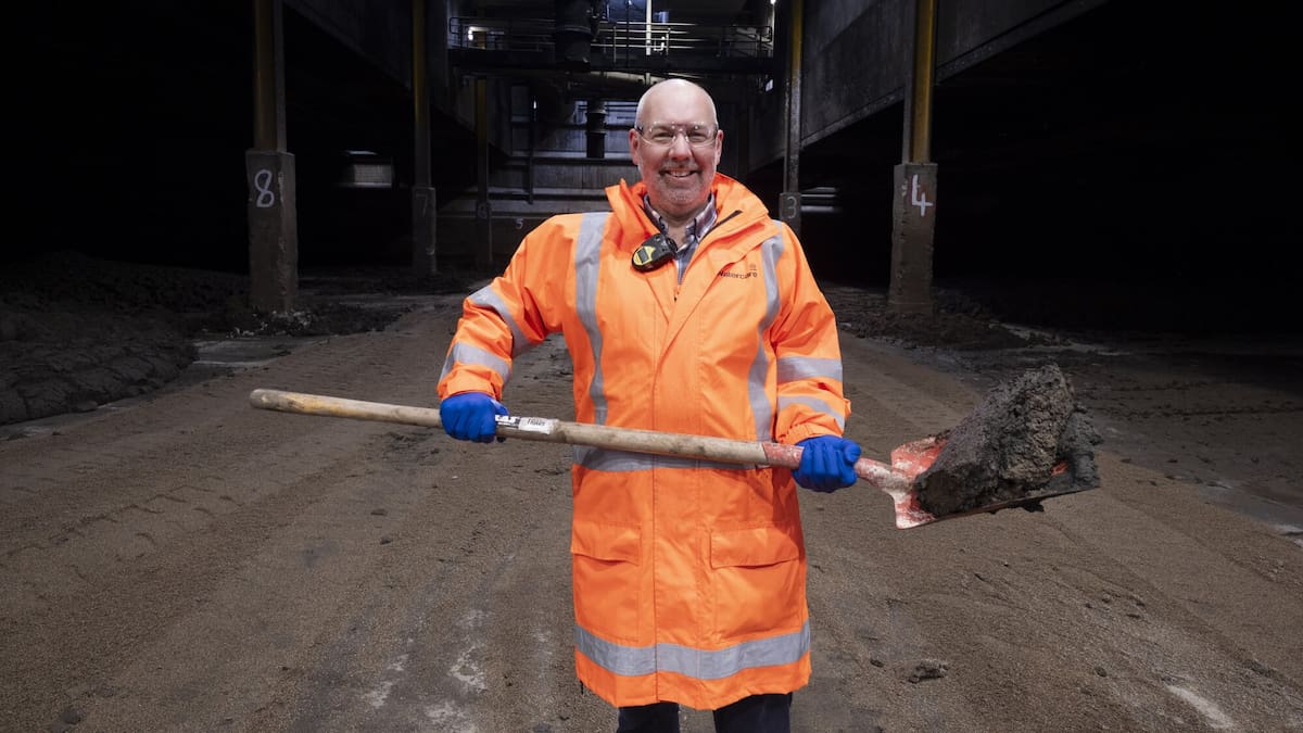 Best things to do in Auckland this weekend, from parades to performances Best things to do in Auckland this weekend, from parades to performances