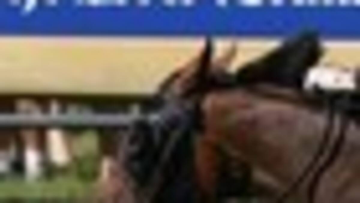 Racing: Top Dunstan hopes draw badly - NZ Herald