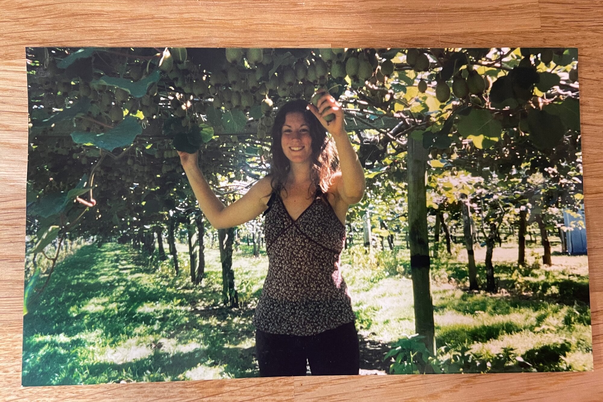 Claire Frances picking Kiwifruit in Te Puke.