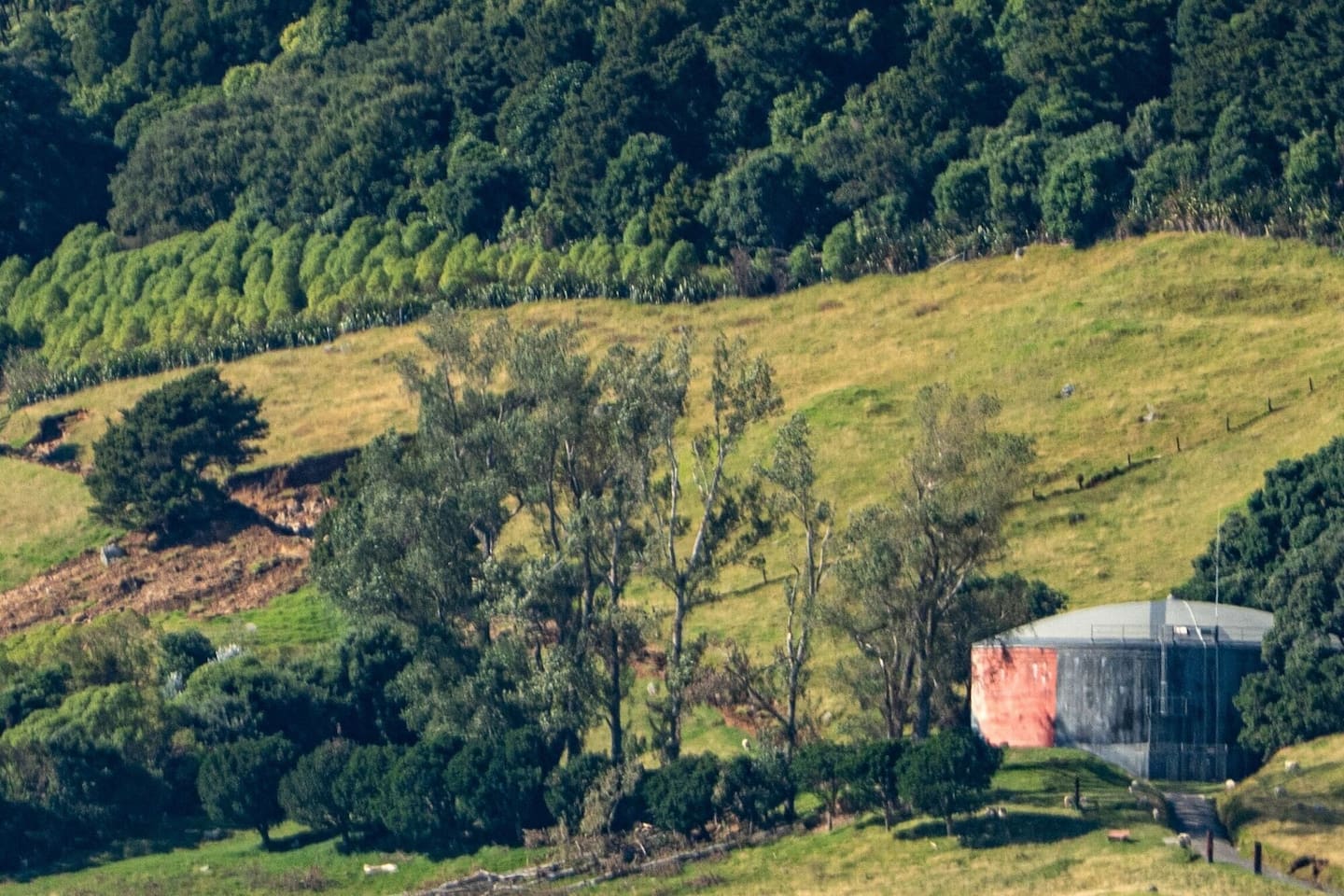Slips are visible near Mount Maunganui's water tower on the northern side of the maunga. Photo / Corey Fleming