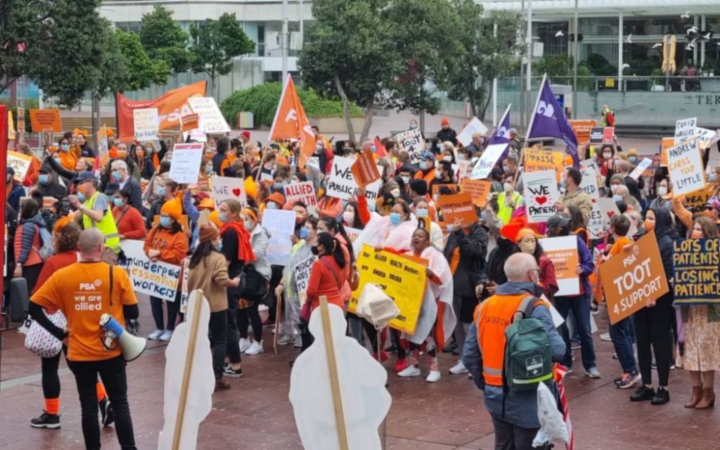Allied health workers strike in Auckland in 2022. Photo / RNZ, Felix Walton