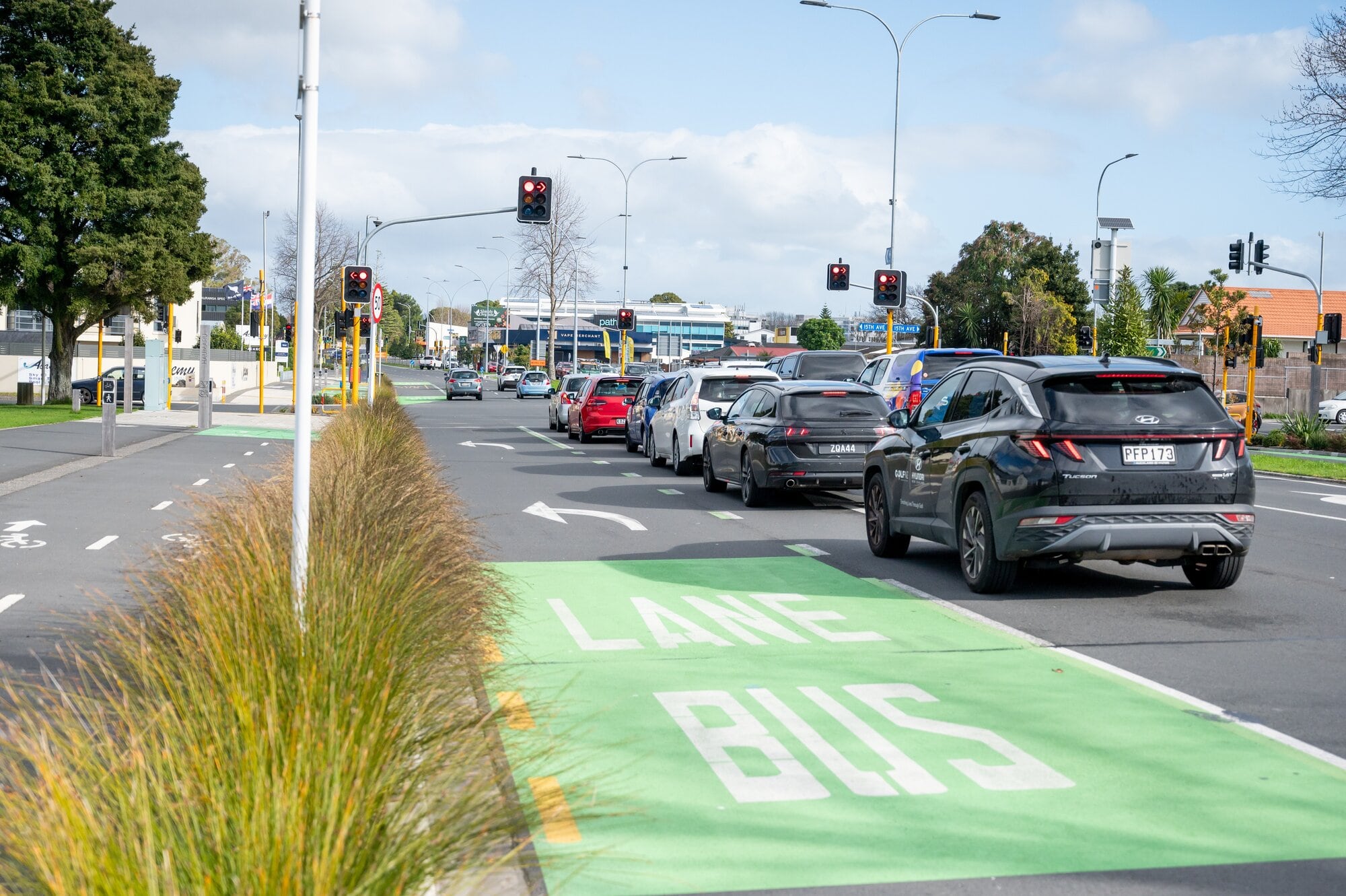 Bus lanes on Cameron Rd are marked but not yet operational. Photo / Brydie Thompson